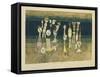 Comedy-Paul Klee-Framed Stretched Canvas