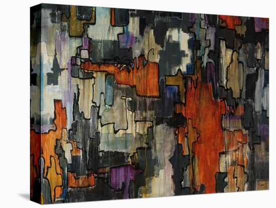 Comely-Joshua Schicker-Stretched Canvas