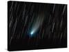 Comet 73P, Schwassmann-Wachmann-Stocktrek Images-Stretched Canvas