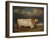 Comet' a Light Roan Short-Horn Bull in a Landscape, 1811-Thomas Weaver-Framed Giclee Print