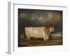 Comet' a Light Roan Short-Horn Bull in a Landscape, 1811-Thomas Weaver-Framed Giclee Print