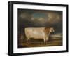 Comet, a Light Roan Short-Horn Bull in a Landscape, 1811-Thomas Weaver-Framed Giclee Print