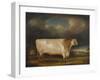 Comet, a Light Roan Short-Horn Bull in a Landscape, 1811-Thomas Weaver-Framed Giclee Print