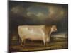 Comet, a Light Roan Short-Horn Bull in a Landscape, 1811-Thomas Weaver-Mounted Giclee Print