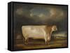 Comet, a Light Roan Short-Horn Bull in a Landscape, 1811-Thomas Weaver-Framed Stretched Canvas