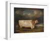 Comet, a Light Roan Short-Horn Bull in a Landscape, 1811-Thomas Weaver-Framed Giclee Print