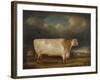 Comet, a Light Roan Short-Horn Bull in a Landscape, 1811-Thomas Weaver-Framed Giclee Print