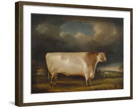 Comet, a Light Roan Short-Horn Bull in a Landscape, 1811-Thomas Weaver-Framed Giclee Print