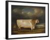 Comet, a Light Roan Short-Horn Bull in a Landscape, 1811-Thomas Weaver-Framed Giclee Print