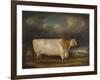 Comet, a Light Roan Short-Horn Bull in a Landscape, 1811-Thomas Weaver-Framed Giclee Print