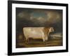 Comet, a Light Roan Short-Horn Bull in a Landscape, 1811-Thomas Weaver-Framed Giclee Print