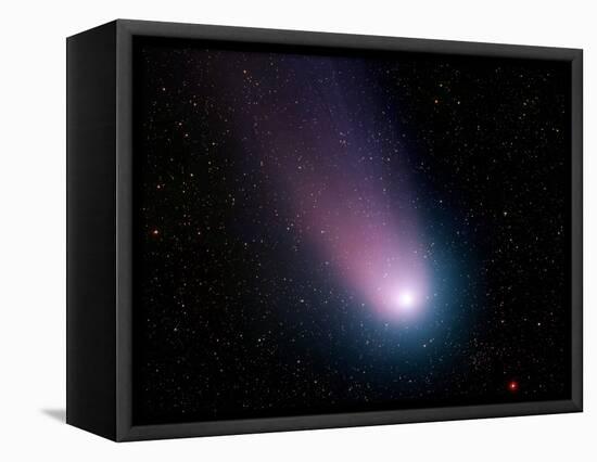 Comet C/2001 Q4 (NEAT)-Stocktrek Images-Framed Stretched Canvas