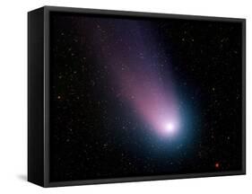 Comet C/2001 Q4 (NEAT)-Stocktrek Images-Framed Stretched Canvas