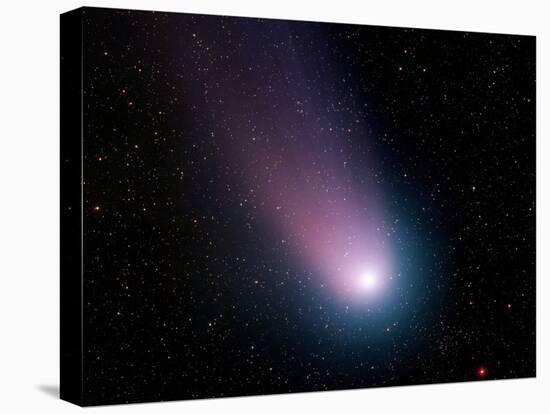 Comet C/2001 Q4 (NEAT)-Stocktrek Images-Stretched Canvas