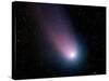 Comet C/2001 Q4 (NEAT)-Stocktrek Images-Stretched Canvas