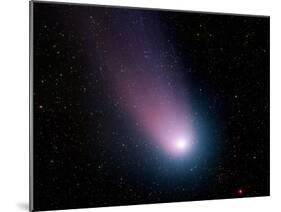 Comet C/2001 Q4 (NEAT)-Stocktrek Images-Mounted Photographic Print