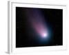 Comet C/2001 Q4 (NEAT)-Stocktrek Images-Framed Photographic Print