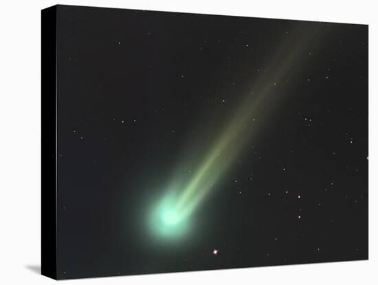 Comet C-2013 R1 Lovejoy-null-Stretched Canvas