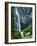 Comet Falls, Mt Rainier National Park, Washington, USA-Charles Gurche-Framed Photographic Print