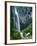 Comet Falls, Mt Rainier National Park, Washington, USA-Charles Gurche-Framed Photographic Print