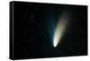 Comet Hale-Bopp-John Sanford-Framed Stretched Canvas
