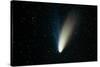 Comet Hale-Bopp-John Sanford-Stretched Canvas