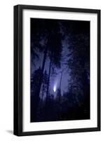 Comet Hale-Bopp-Detlev Van Ravenswaay-Framed Premium Photographic Print