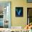 Comet Hale-Bopp-Detlev Van Ravenswaay-Framed Stretched Canvas displayed on a wall