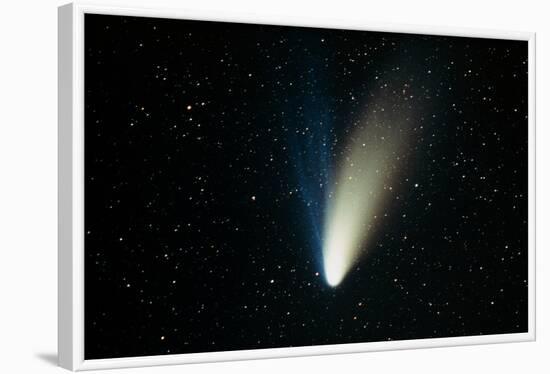 Comet Hale-Bopp-John Sanford-Framed Photographic Print