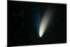 Comet Hale-Bopp-John Sanford-Mounted Photographic Print