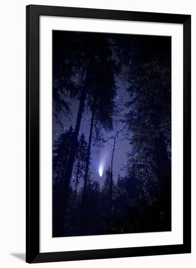 Comet Hale-Bopp-Detlev Van Ravenswaay-Framed Photographic Print