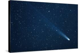 Comet Hyakutake on 13.3.96-John Sanford-Stretched Canvas