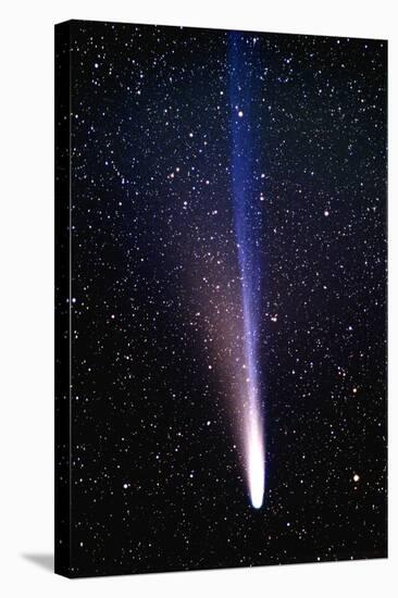 Comet Ikeya-Zhang-Pekka Parviainen-Stretched Canvas