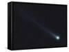 Comet Lovejoy-Stocktrek Images-Framed Stretched Canvas