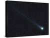 Comet Lovejoy-Stocktrek Images-Stretched Canvas