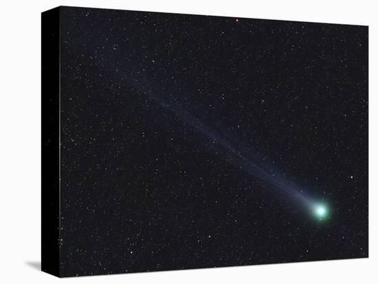 Comet Lovejoy-Stocktrek Images-Stretched Canvas