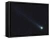 Comet Lovejoy-Stocktrek Images-Framed Stretched Canvas