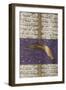 Comet of 1577, Turkish Manuscript-Science Source-Framed Premium Giclee Print