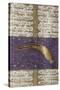 Comet of 1577, Turkish Manuscript-Science Source-Stretched Canvas