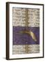 Comet of 1577, Turkish Manuscript-Science Source-Framed Giclee Print