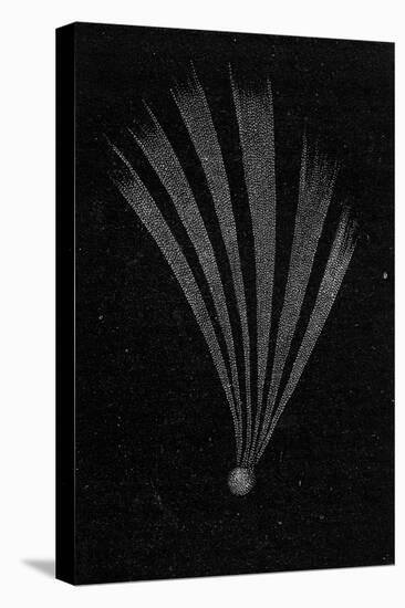 Comet of 1744, 19th Century Artwork-Science Photo Library-Stretched Canvas