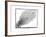 Comet of 684 (Halle), 1493-null-Framed Giclee Print