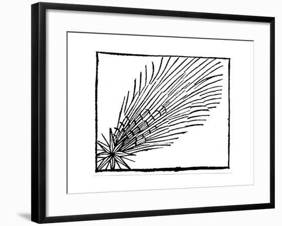 Comet of 684 (Halle), 1493-null-Framed Giclee Print