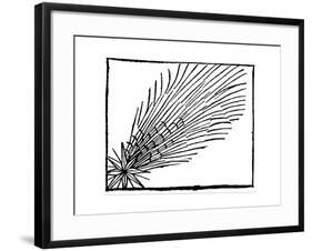 Comet of 684 (Halle), 1493-null-Framed Giclee Print