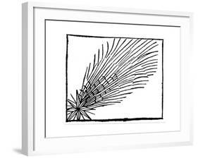 Comet of 684 (Halle), 1493-null-Framed Giclee Print