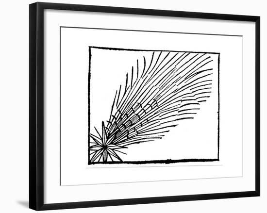 Comet of 684 (Halle), 1493-null-Framed Giclee Print