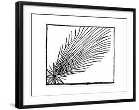 Comet of 684 (Halle), 1493-null-Framed Giclee Print