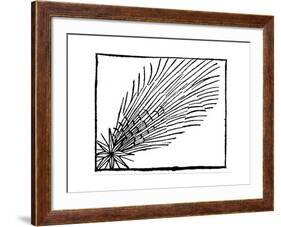 Comet of 684 (Halle), 1493-null-Framed Giclee Print