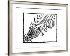 Comet of 684 (Halle), 1493-null-Framed Giclee Print