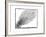 Comet of 684 (Halle), 1493-null-Framed Giclee Print
